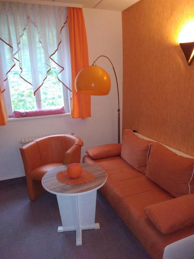 Pension Waldidyll Stützerbach Екстериор снимка