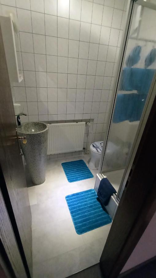 Pension Waldidyll Stützerbach Екстериор снимка