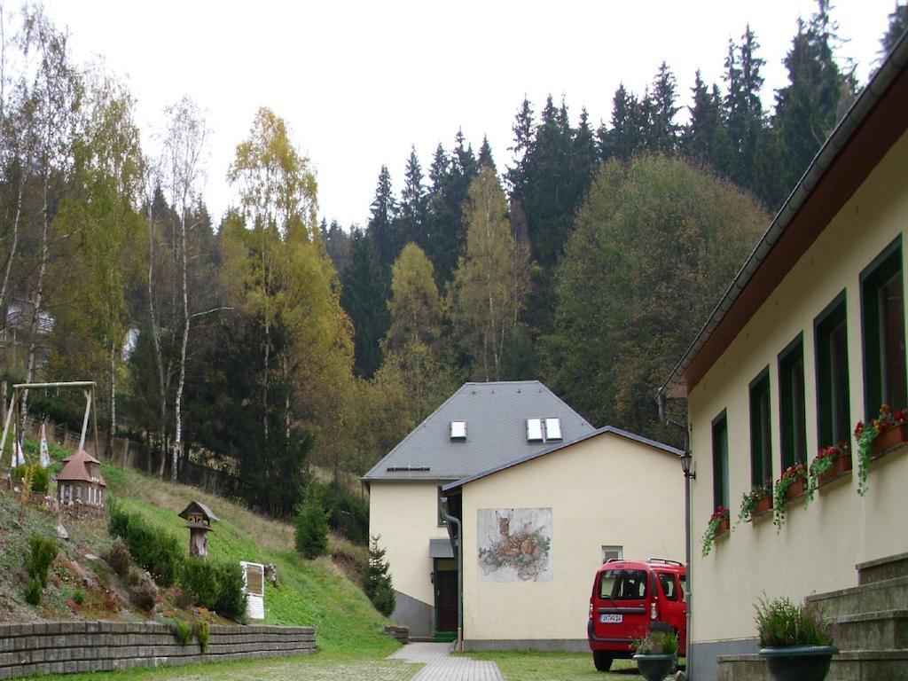 Pension Waldidyll Stützerbach Екстериор снимка