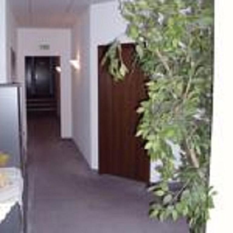 Pension Waldidyll Stützerbach Екстериор снимка