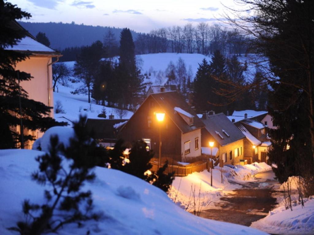 Pension Waldidyll Stützerbach Екстериор снимка