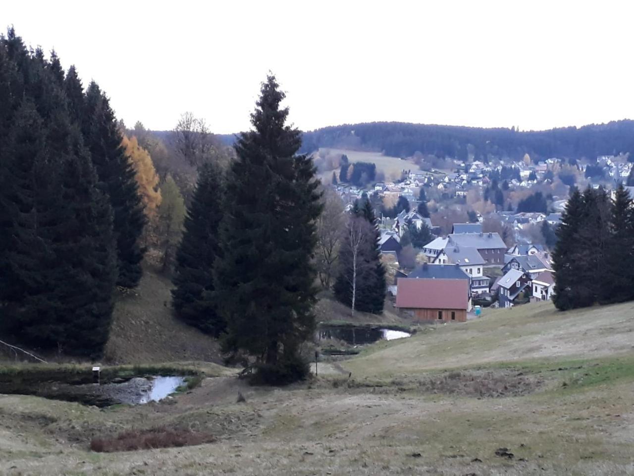 Pension Waldidyll Stützerbach Екстериор снимка