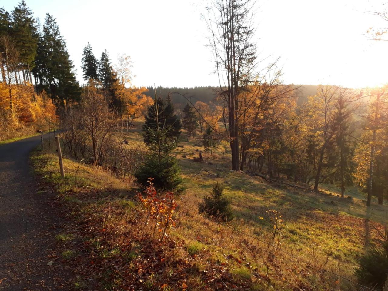Pension Waldidyll Stützerbach Екстериор снимка