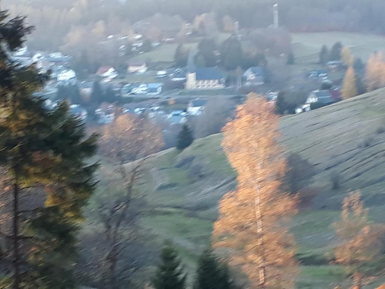 Pension Waldidyll Stützerbach Екстериор снимка
