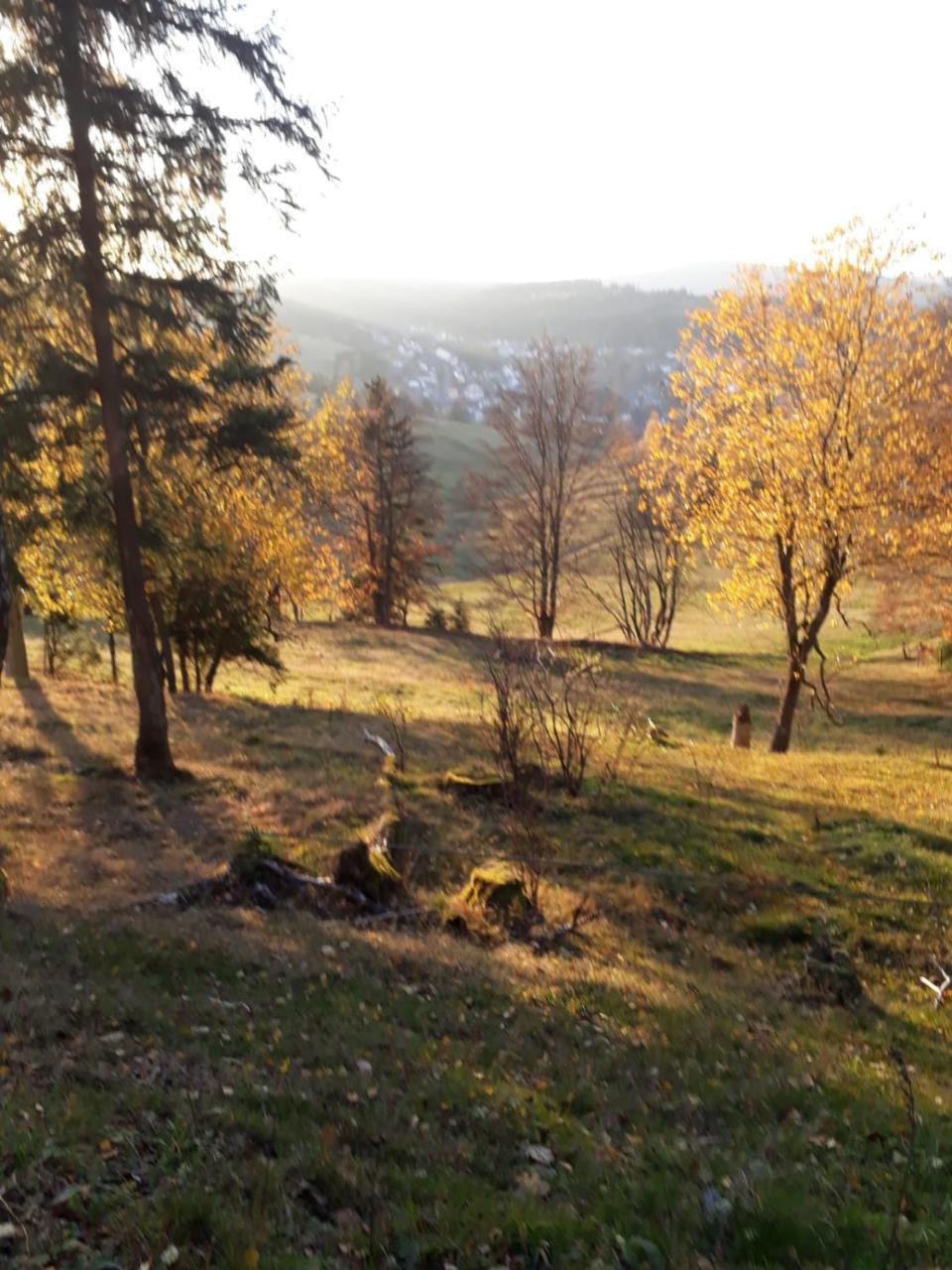 Pension Waldidyll Stützerbach Екстериор снимка