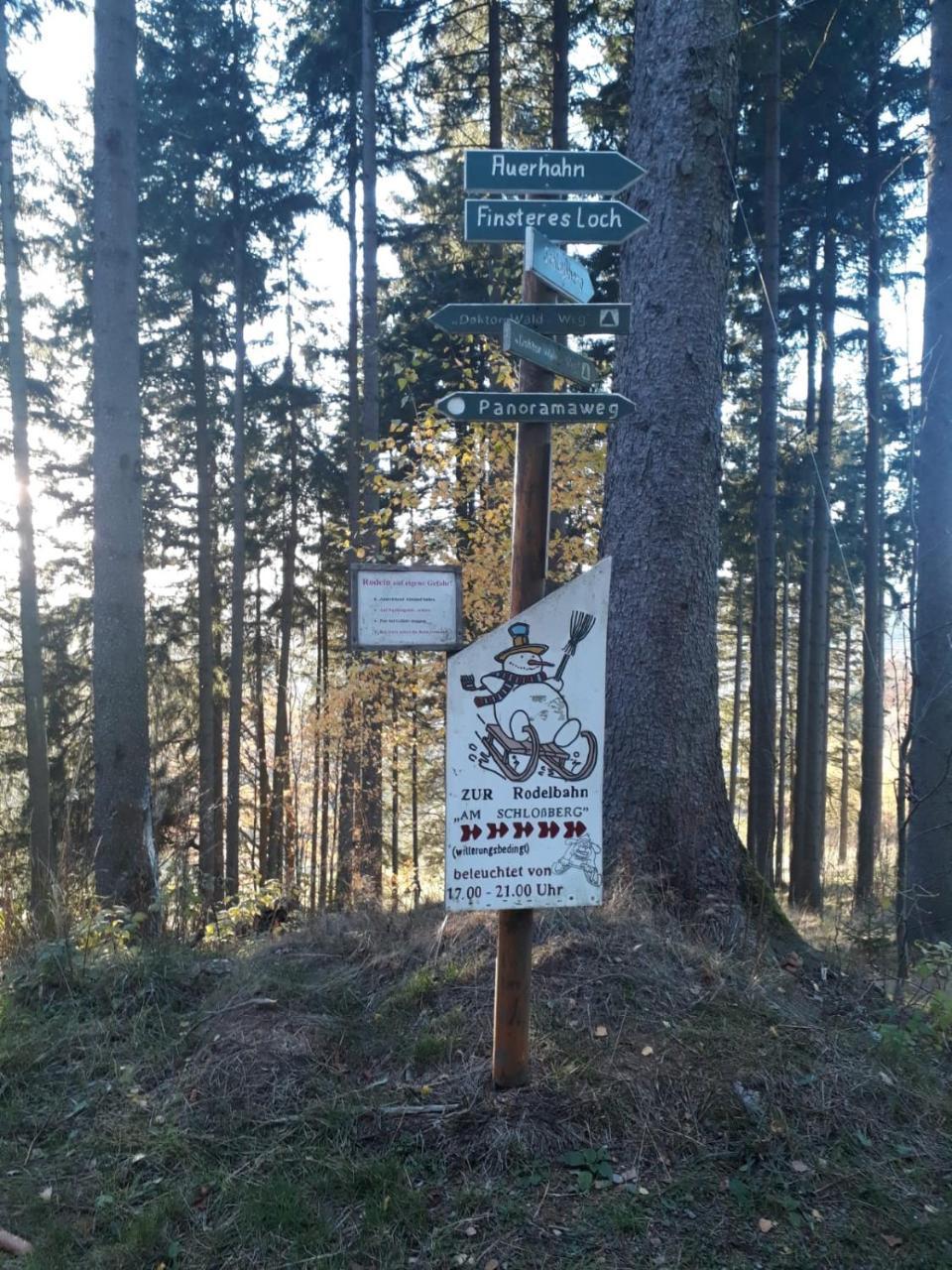 Pension Waldidyll Stützerbach Екстериор снимка